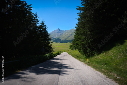 tree-lined road of campo imperatore abruzzo