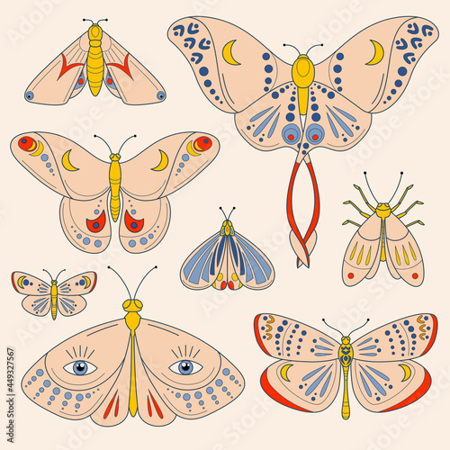 Colorful set of moths and butterflies. Vector illustration