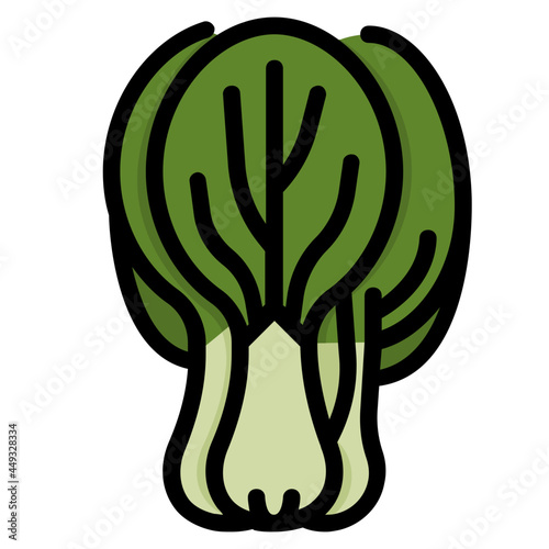 bok choy line icon