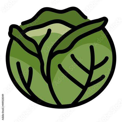 cabbage line icon