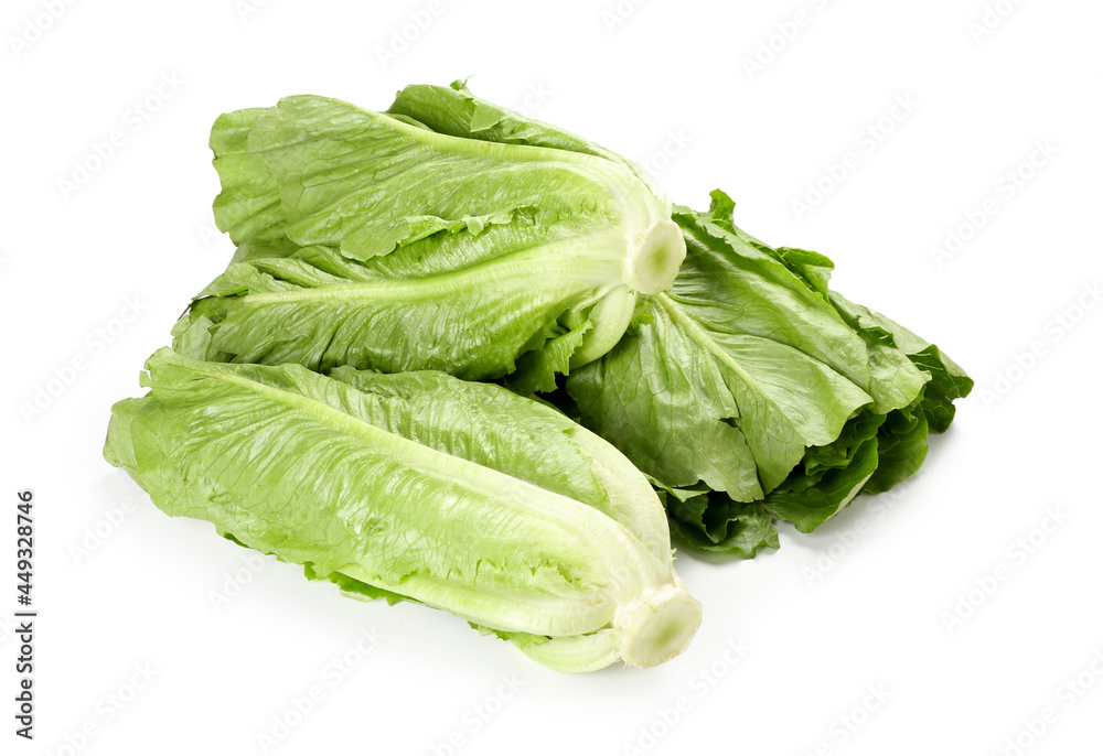 Fresh romaine lettuce on white background Fresh romaine lettuce on white background