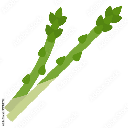asparagus flat icon