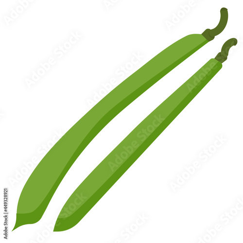 beans flat icon