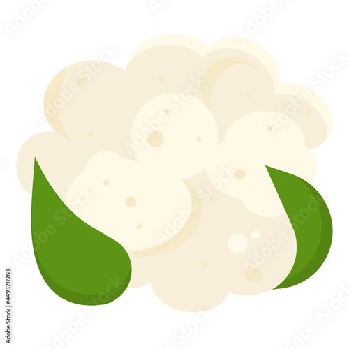 cauliflower flat icon