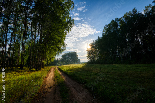 The rising sun illuminates the dirt road passing at the edge of the forest