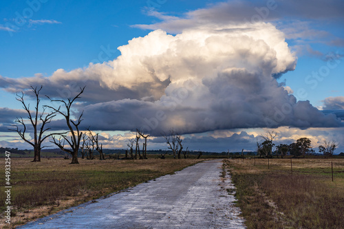 An abandoned road heading into the distance under a large storm cloud