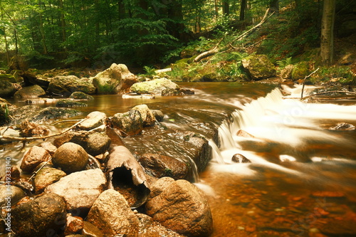 Kleine Kaskaden im Wald   photo