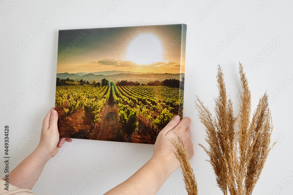 Canvas print with gallery wrap and dry grass interior decor. Woman hangs landscape photography on white wall - obrazy, fototapety, plakaty 