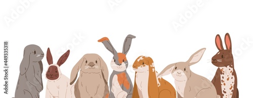 Cute rabbits and hares with long ears isolated on white background. Banner with border of sweet farm animals. Group portrait of different happy funny bunnies. Flat vector illustration © Good Studio