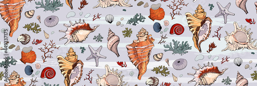 Seamless pattern with marine  elements, hand drawn seashells for your design. Endless texture, sketch shells, echinus, starfish, seaweed, coral, clam isolated on striped background.Vector illustration