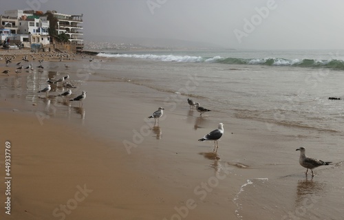 A small fishing village Taghazout, Morocco