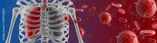 3d render of Human Body Organs (Lungs)with Corona virus background.3d rendering
