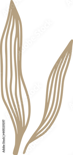 Vector hand drawn organic s...