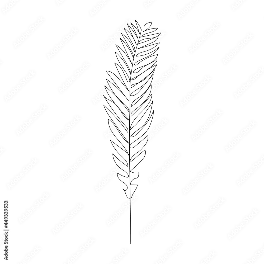 Sword fern in continuous line drawing. Minimalistic art. Vector illustration.