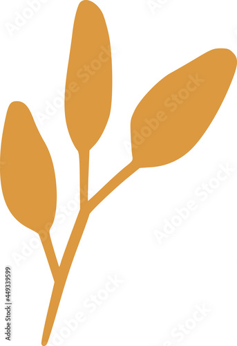 Vector hand drawn organic s...