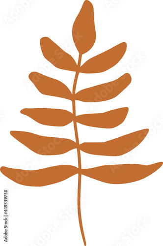Vector hand drawn organic s...