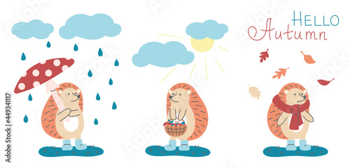 Cute hedgehogs collection. Autumn concept with funny animals. Rain  sunny  fall.