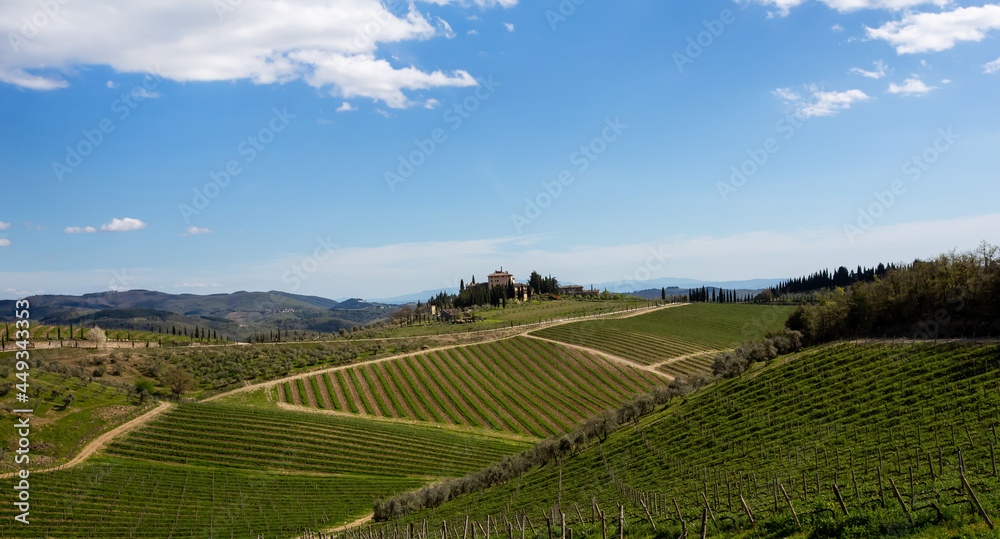 Beautiful vineyards at blue sky in Tuscany, Italy.
