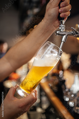 Bartender s hands pouring draught beer into a glass