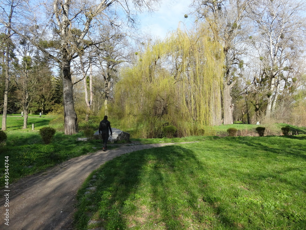 Nature, sun, birds and flowers