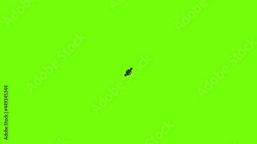 Bonbon icon animation