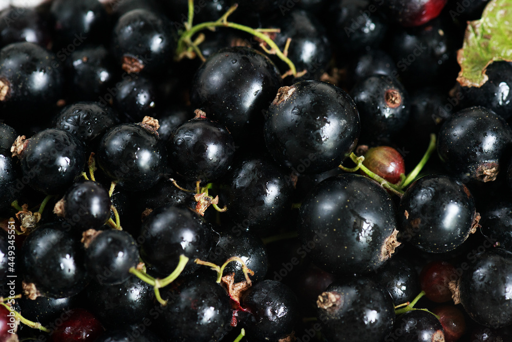 Organic black currant over the white background Organic black currant over the white background