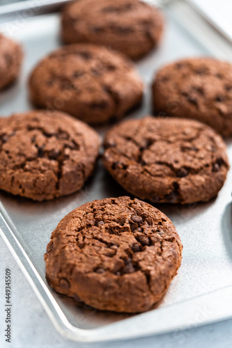 Double chocolate chip cookies