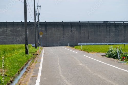 Wallpaper Mural 石川県白山市の田んぼの中に自然や動物がある風景 Landscape with nature and animals in rice fields in Hakusan City, Ishikawa Prefecture. Torontodigital.ca