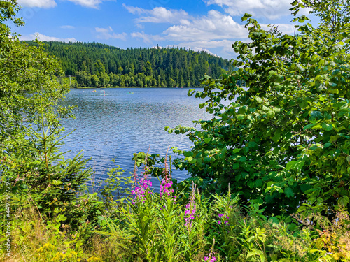 Lake Windgfällweiher in Germany