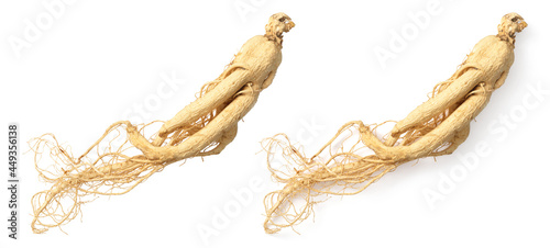 Dried ginseng isolated on white background, top view photo