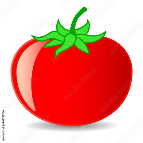 Tomato vector cartoon