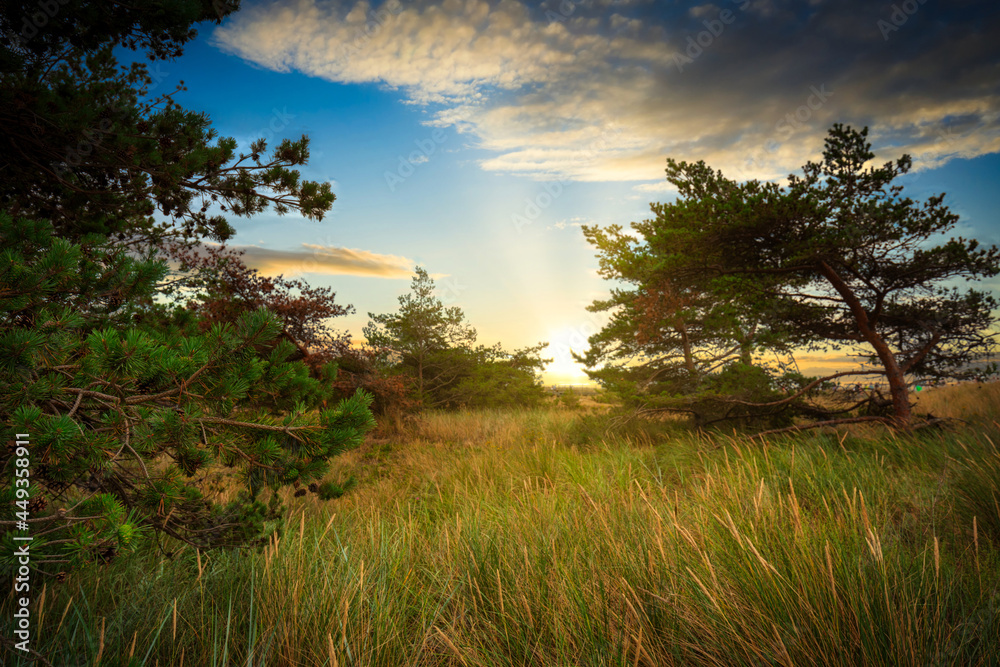 The beautiful landscape of the beach on Hel Peninsula at sunset. Poland.