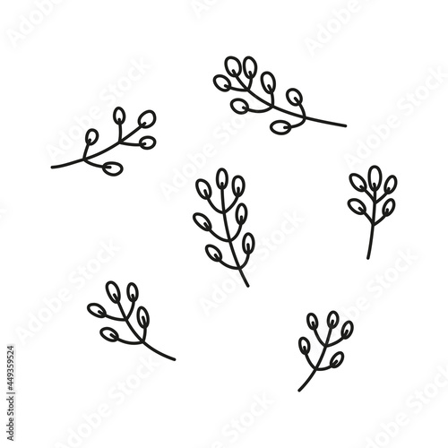 Set of doodle pussy willow twigs.