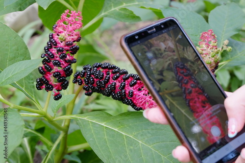 Girl with mushroom nails scans a strange plant