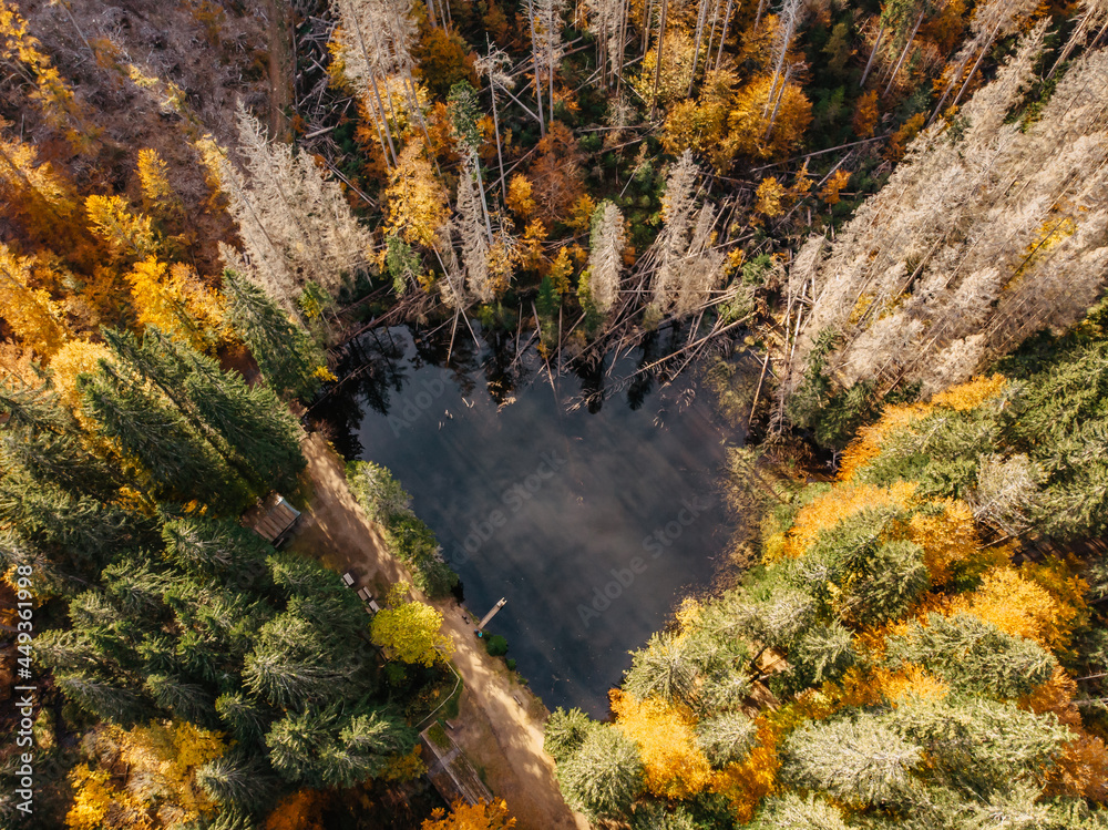 Fall forest landscape with lake view from above,Sumava, Czech republic.Colorful nature background.Autumn aerial drone view.Idyllic fall scenery from a birds eye view.Holiday freedom travel concept.