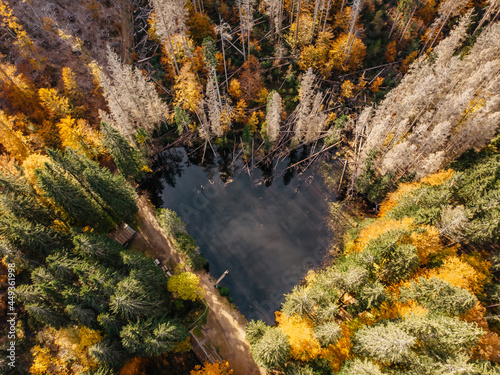 Fall forest landscape with lake view from above,Sumava, Czech republic.Colorful nature background.Autumn aerial drone view.Idyllic fall scenery from a birds eye view.Holiday freedom travel concept.