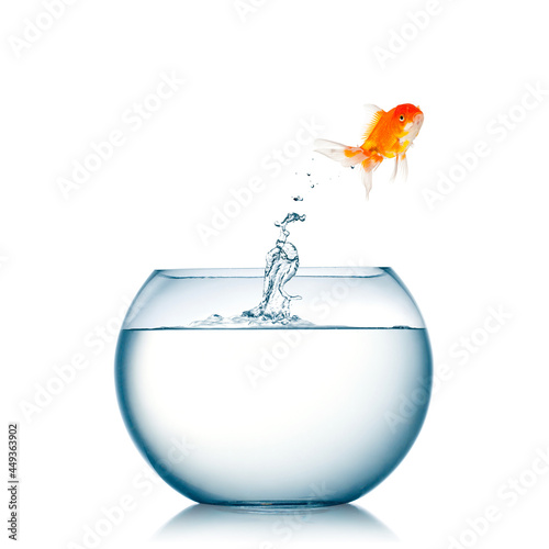 Goldfish jumping out of fishbowl to liberty.