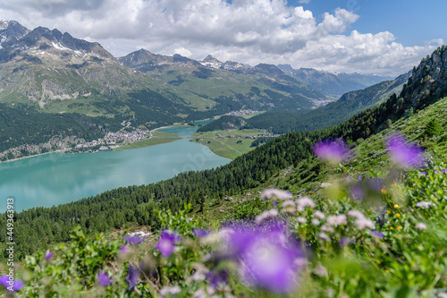 Aussicht im Engadin