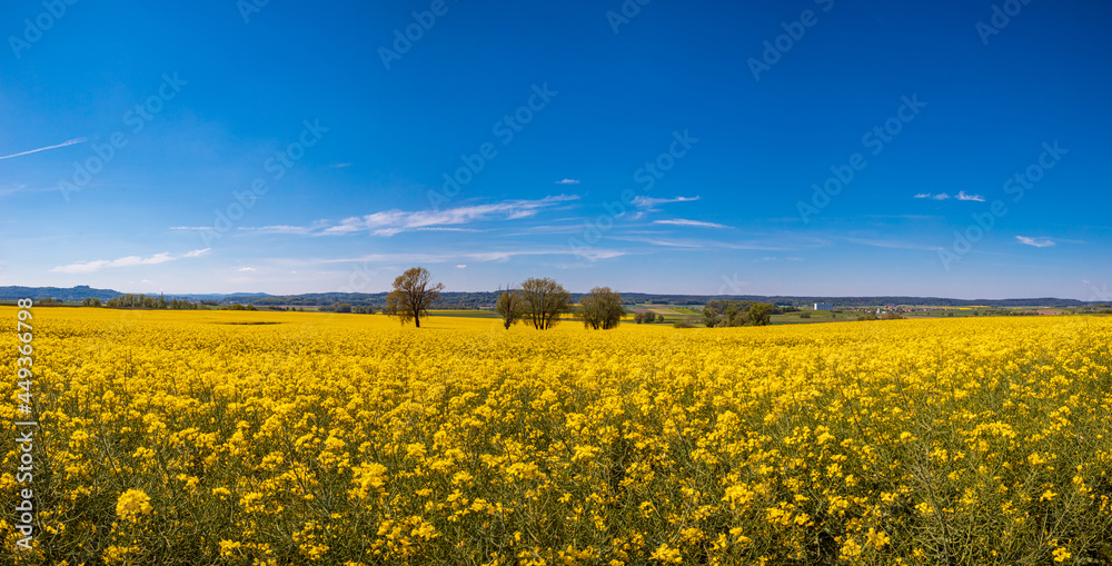 rural lansdscape