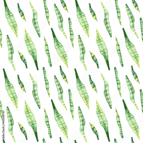 Watercolor seamless pattern with plant on white background