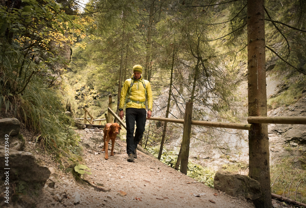 Obraz premium Traveler Man trekker with him dog walk around mountains in sunny day. Backpacker walking in Outdoors. Health care, authenticity, sense of balance and calmness.