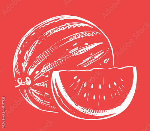 Hand drawn vector watermelon on color background