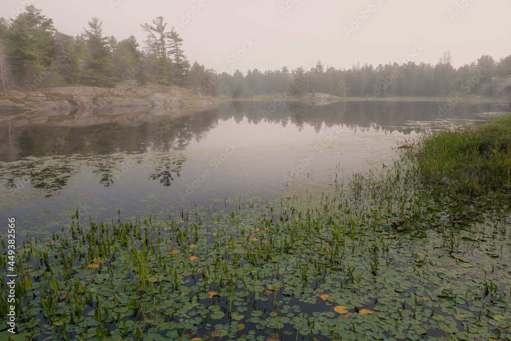 Landscape of a swamp and marsh with rugged rocky shore and hazy foggy smoky polluted air from wild forest fires. Grundy Lake provincial park, Northern Ontario. Landscape of a swamp and marsh with rugged rocky shore and hazy foggy smoky polluted air from wild forest fires. Grundy Lake provincial park, Northern Ontario.