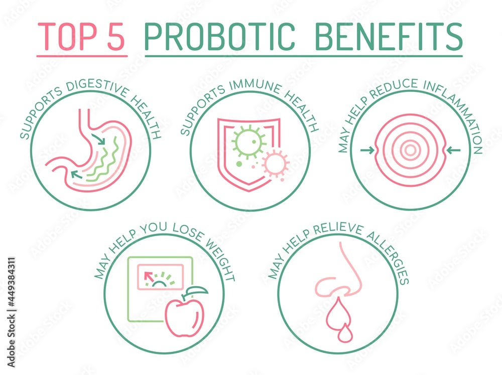 Benefits of probiotics. Landscape vector poster. Medical infographic.