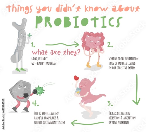 Benefits of probiotics. Landscape poster. Medical infographic.