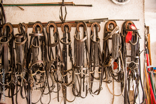 Several hung leather bridles ready to be mounted on the horses' heads. riding saddles 