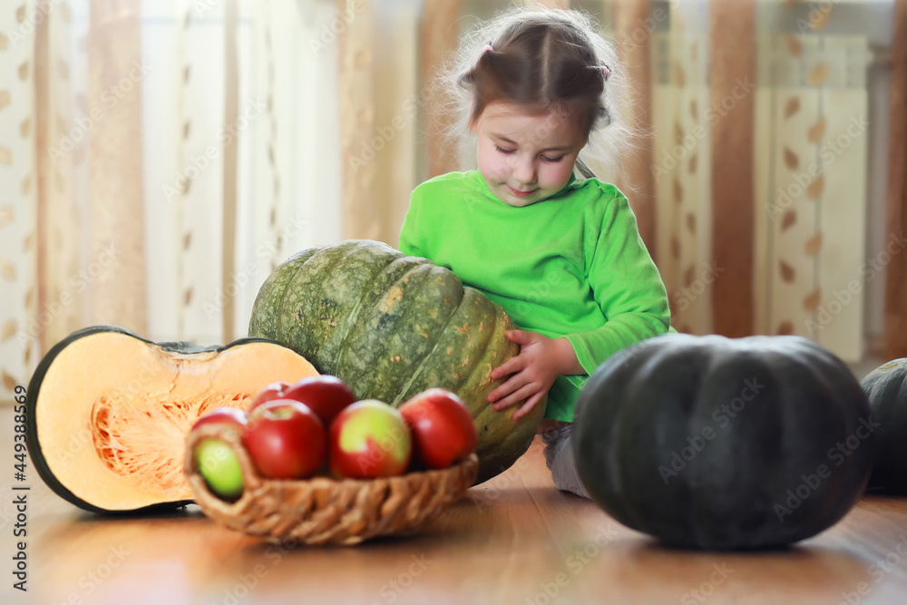 Fototapeta premium Little child choose a pumpkin at autumn. Child sitting on giant pumpkin. Pumpkin is traditional vegetable used on American holidays - Halloween and Thanksgiving Day.