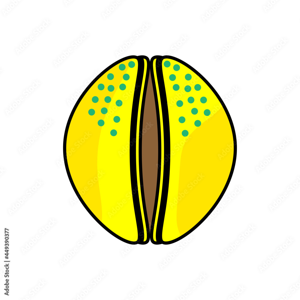 ROUND LIMBS