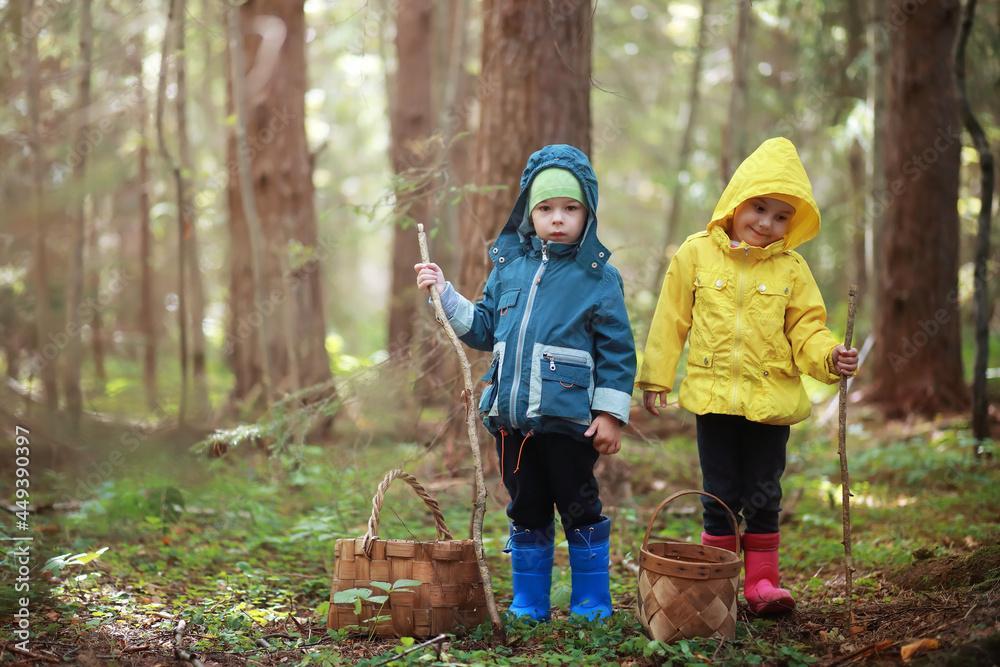 Children in the village walk through the autumn forest and gather mushrooms. Children in nature are walking in nature. Rural walk in autumn. Children in the village walk through the autumn forest and gather mushrooms. Children in nature are walking in nature. Rural walk in autumn.