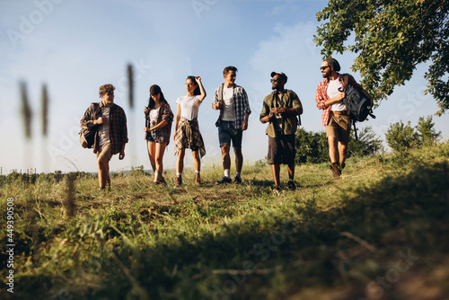 Group of friends, young men and women walking, strolling together during picnic in summer forest, meadow. Lifestyle, friendship,
